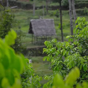 Into The Roots Farm 4* Thattakad